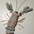 Lobster 8
driftwood, pottery, stone, sand dollars, copper, metal, wire
26"